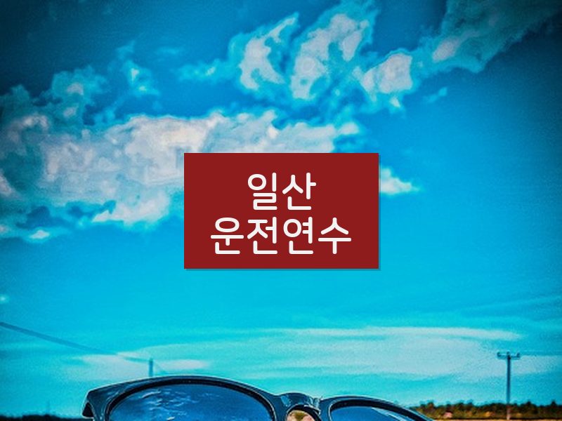 일산운전연수 후기