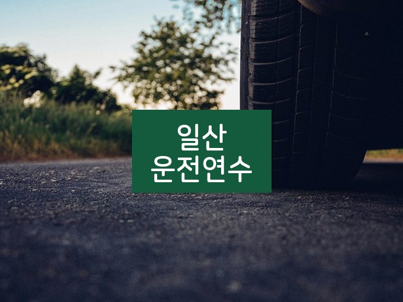 일산운전연수 후기