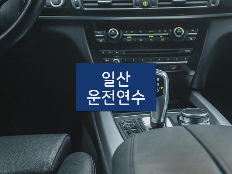 일산운전연수 후기