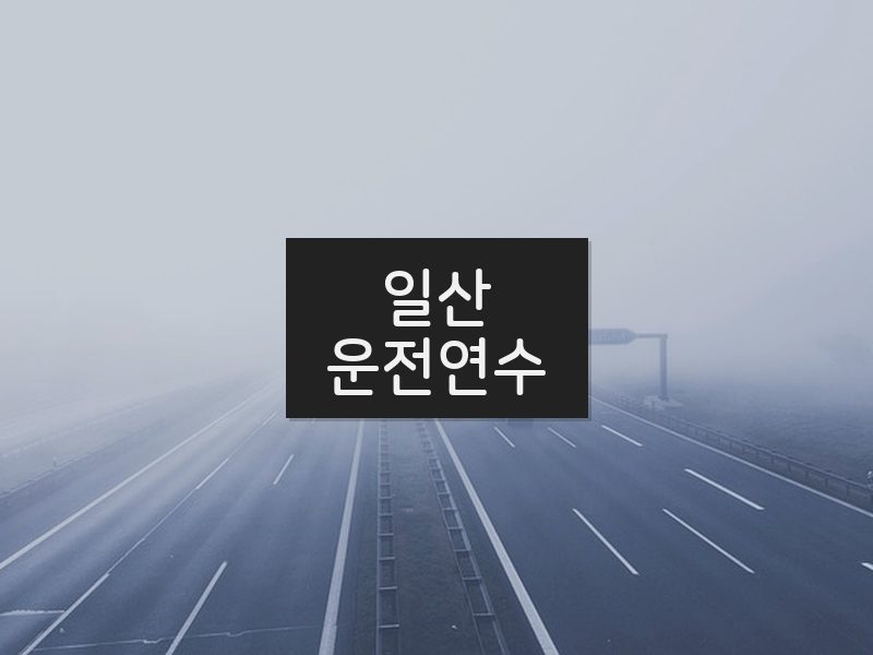 일산운전연수 후기