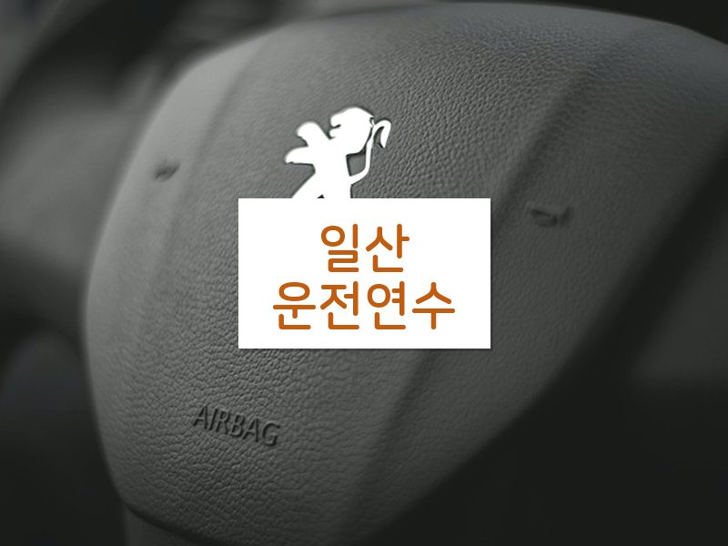 일산운전연수 후기
