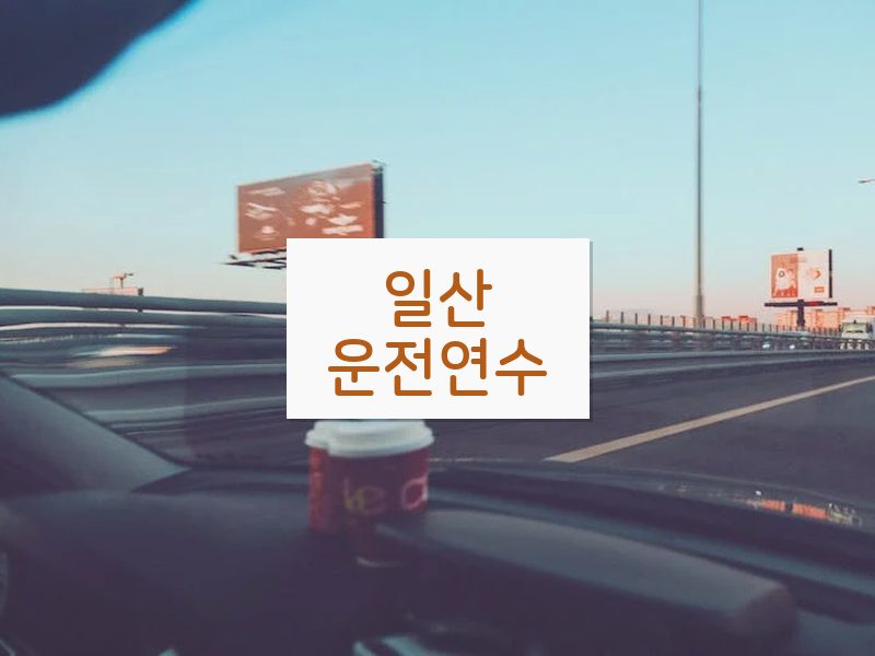 일산운전연수 후기