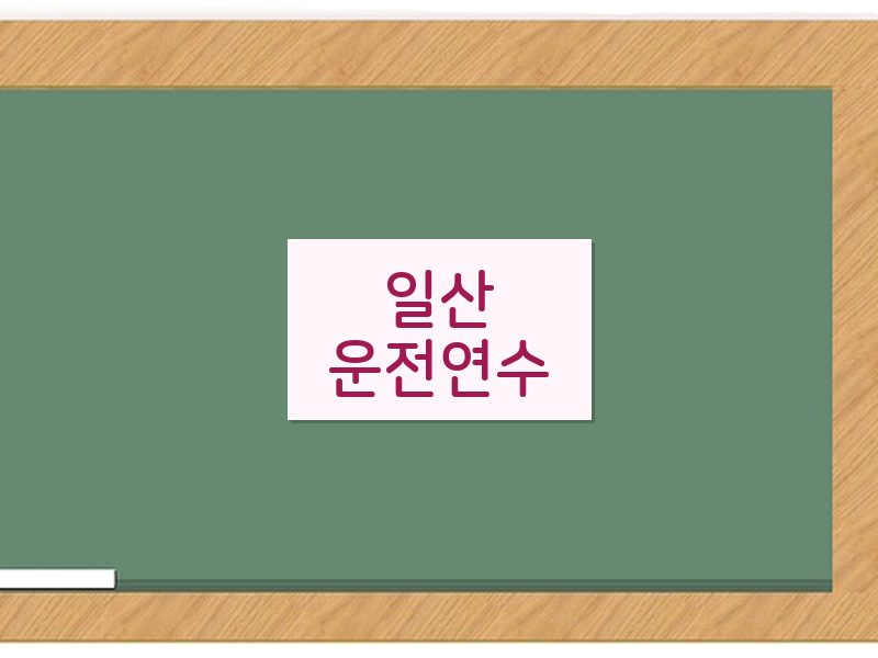 일산운전연수 후기