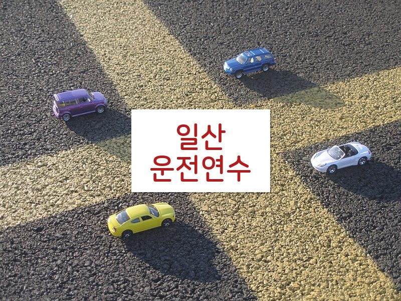 일산운전연수 후기