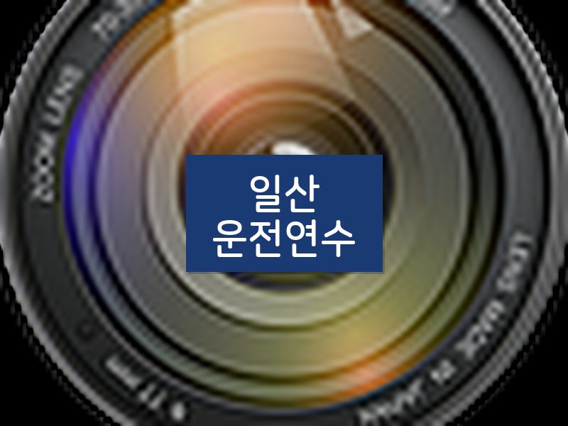 일산운전연수 후기