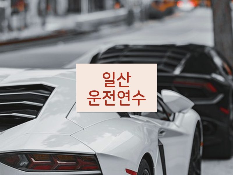 일산운전연수 후기