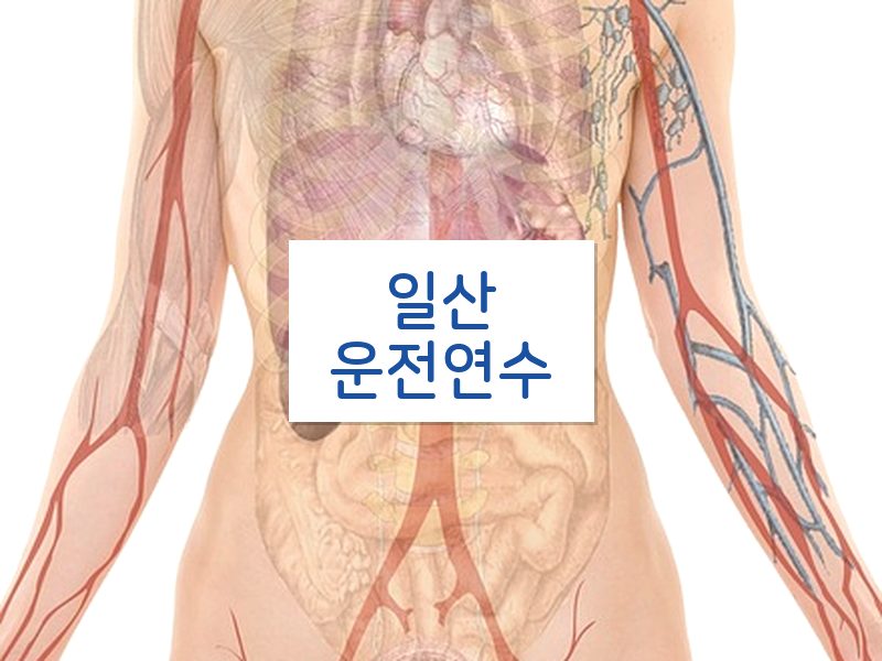 일산운전연수 후기