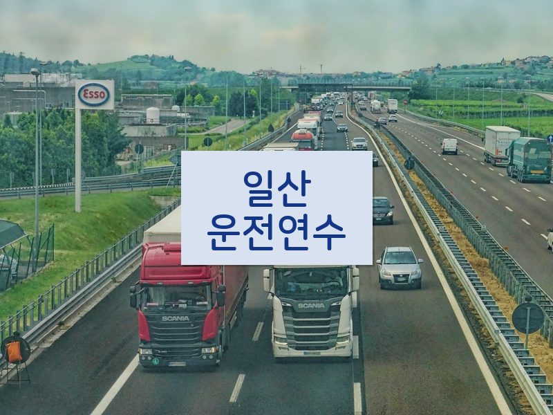 일산운전연수 후기