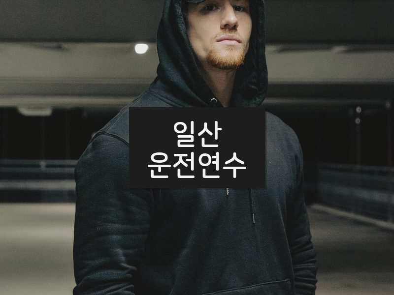 일산운전연수 후기