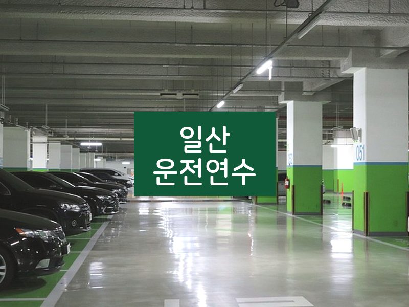 일산운전연수 후기