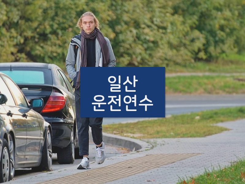 일산운전연수 후기