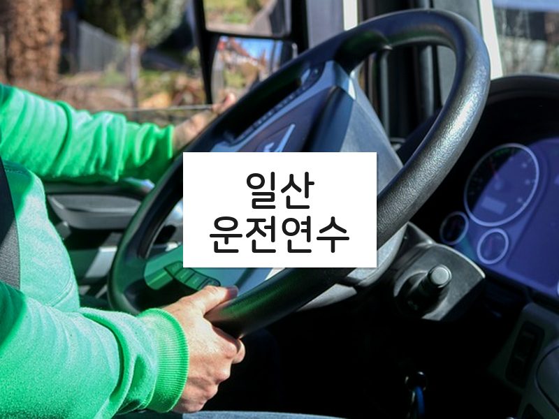 일산운전연수 후기