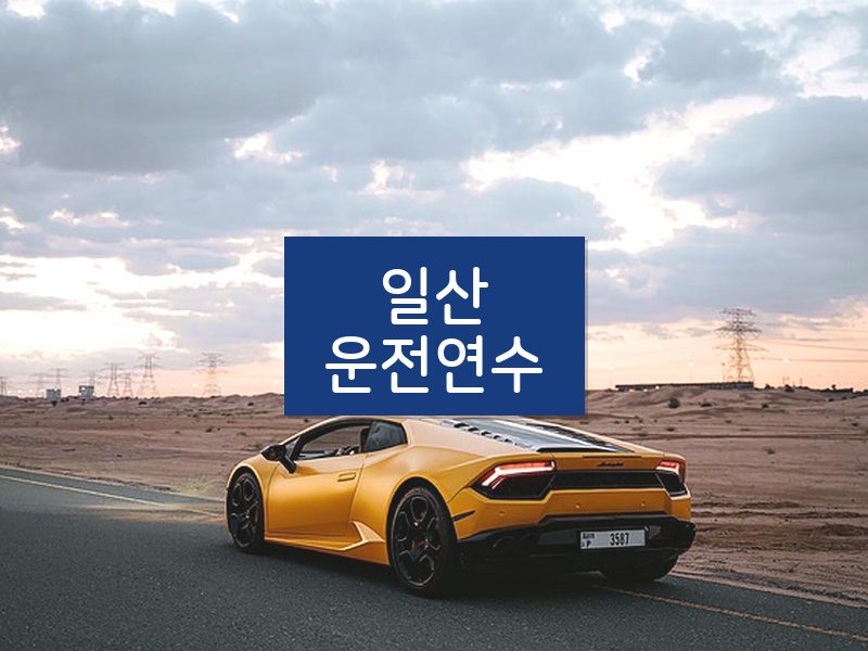 일산운전연수 후기