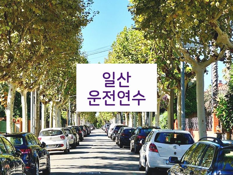 일산운전연수 후기