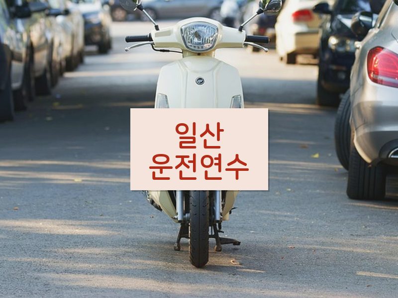 일산운전연수 후기