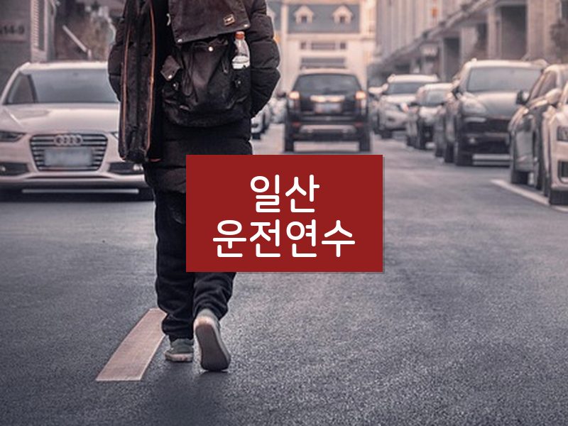 일산운전연수 후기