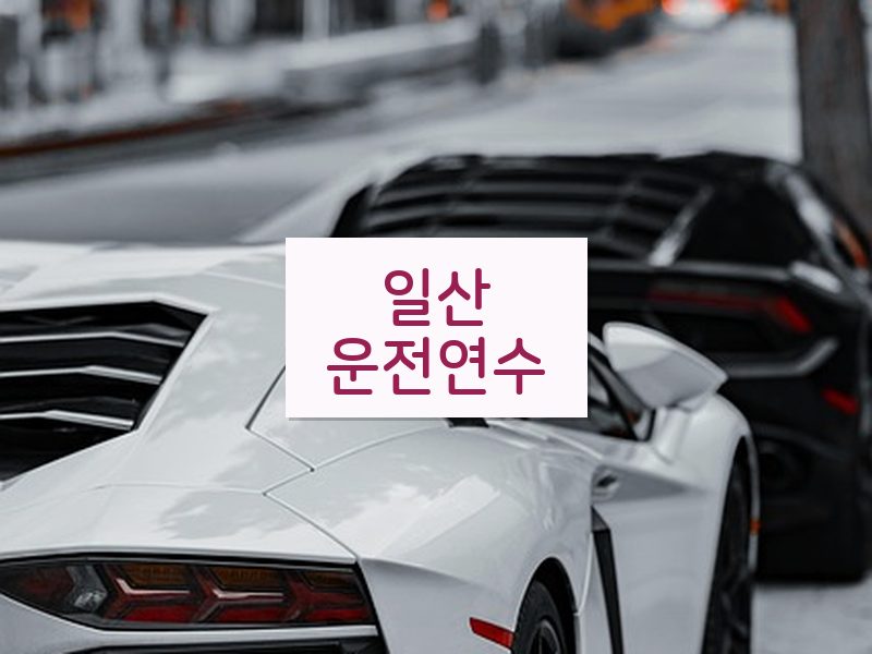 일산운전연수 후기