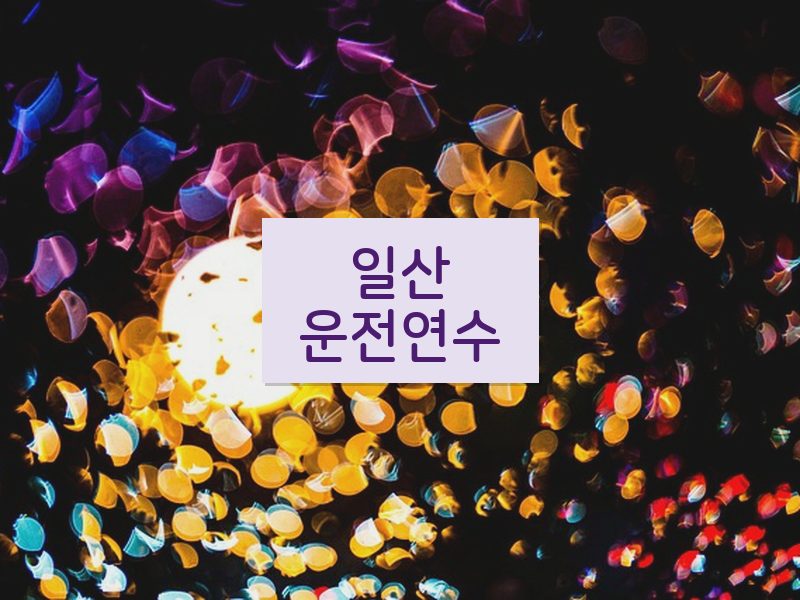 일산운전연수 후기