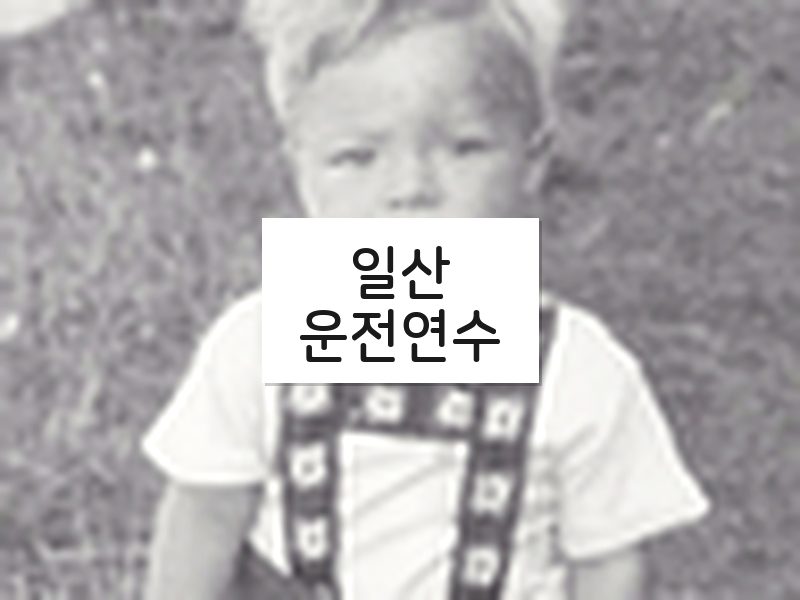 일산운전연수 후기