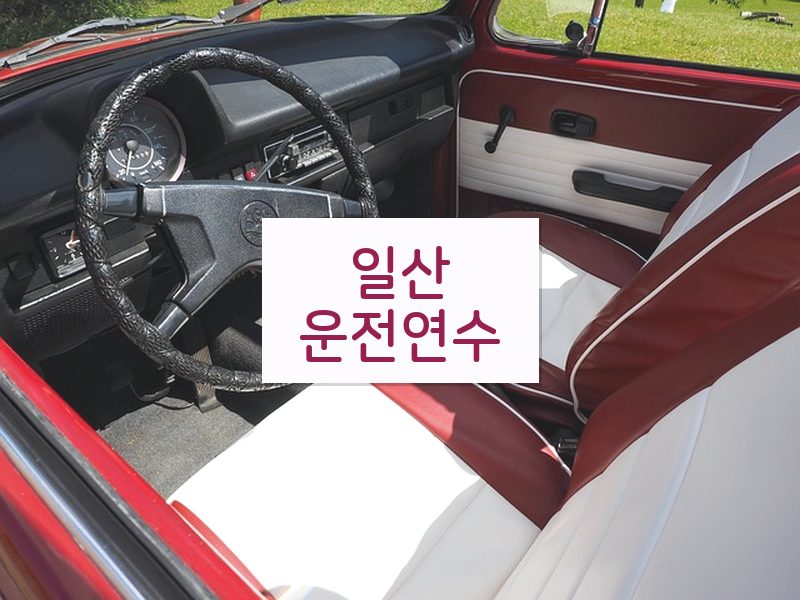 일산운전연수 후기