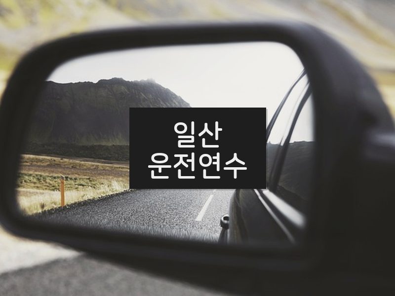일산운전연수 후기