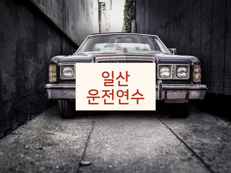 일산운전연수 후기