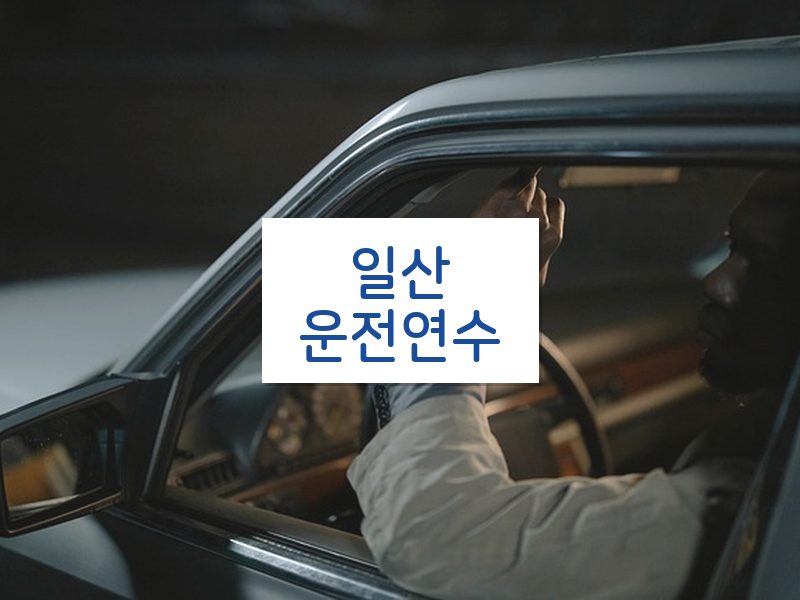 일산운전연수 후기