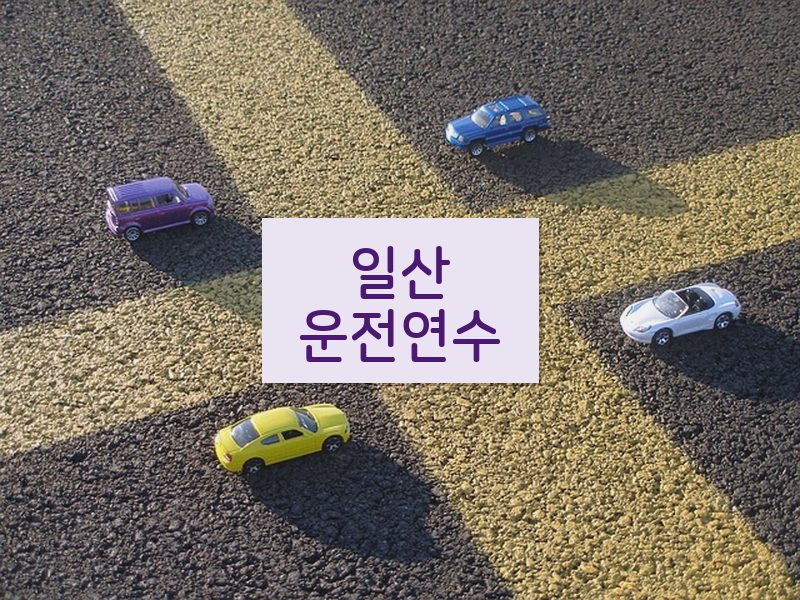 일산운전연수 후기