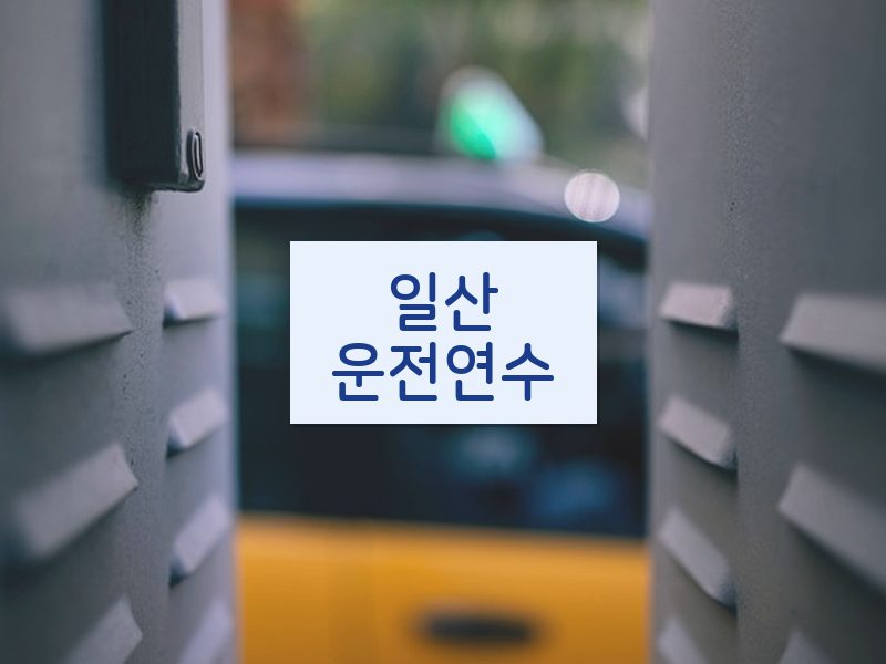 일산운전연수 후기