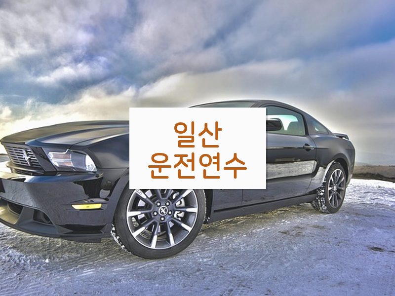 일산운전연수 후기