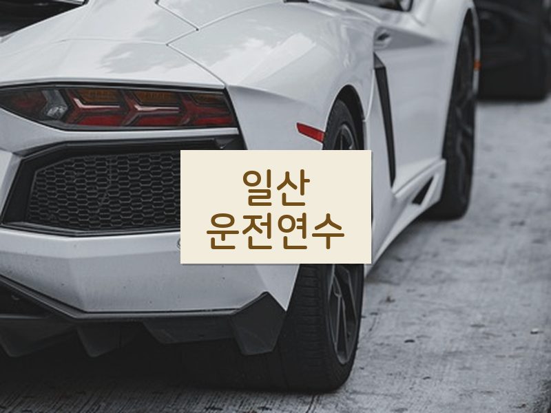 일산운전연수 후기
