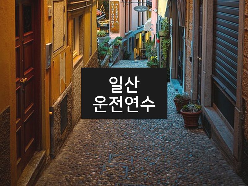 일산운전연수 후기