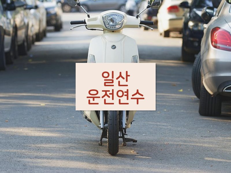 일산운전연수 후기