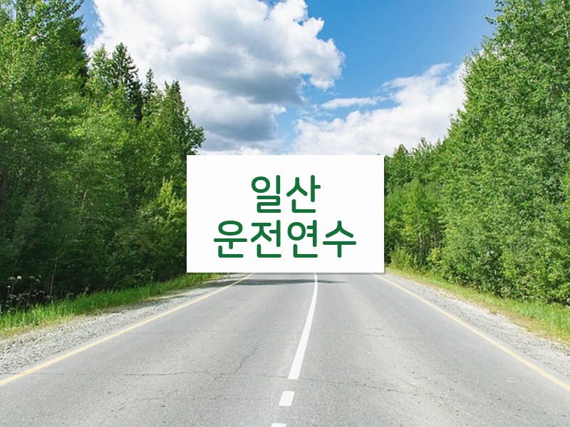 일산운전연수 후기