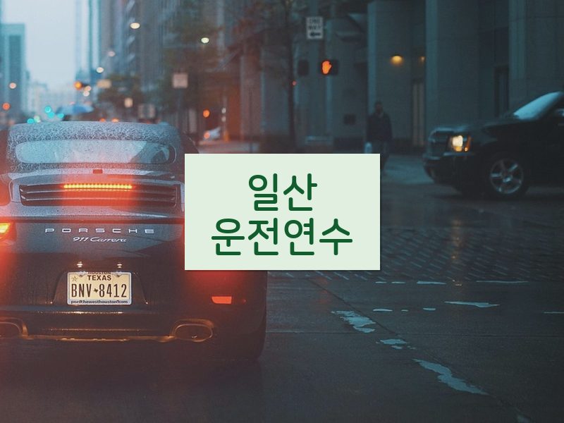 일산운전연수 후기