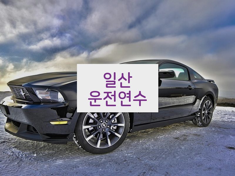 일산운전연수 후기