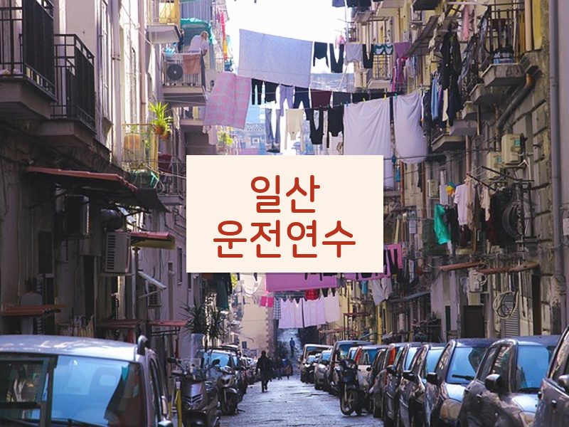 일산운전연수 후기