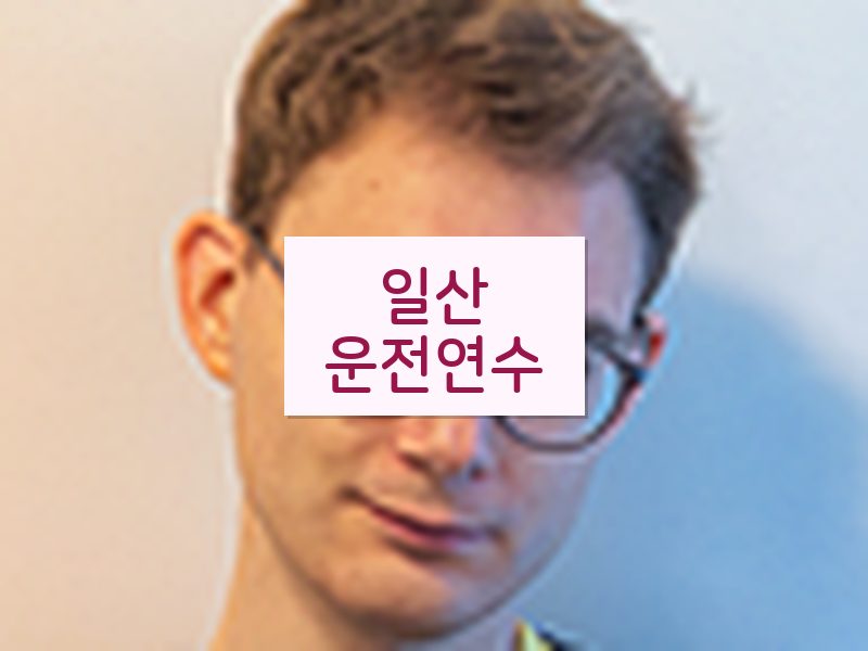 일산운전연수 후기