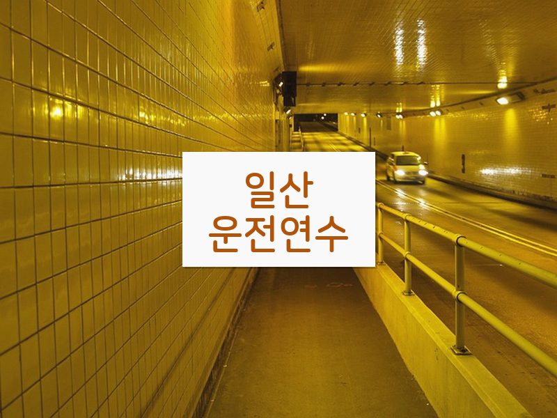 일산운전연수 후기