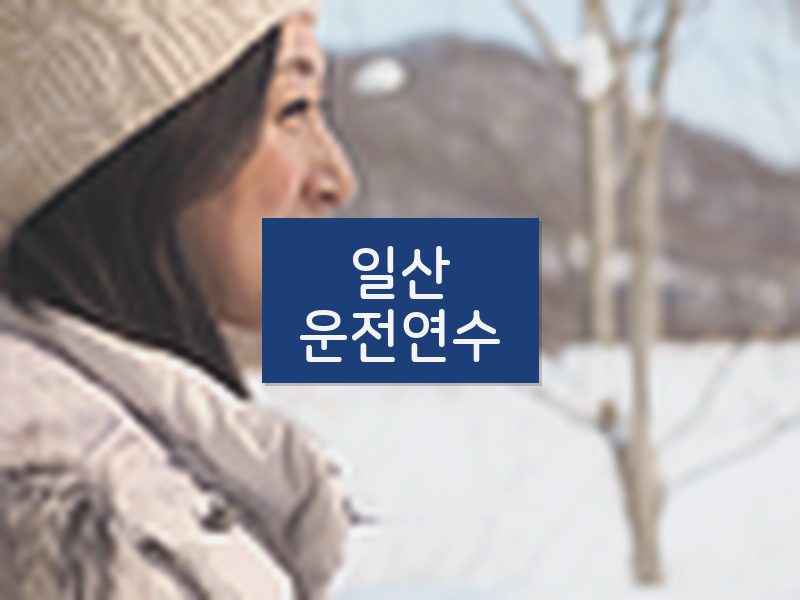 일산운전연수 후기