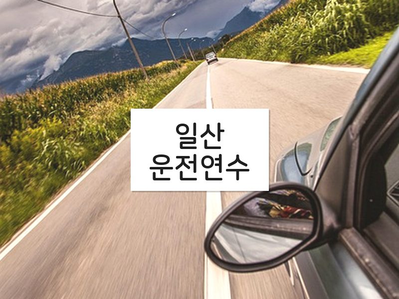 일산운전연수 후기