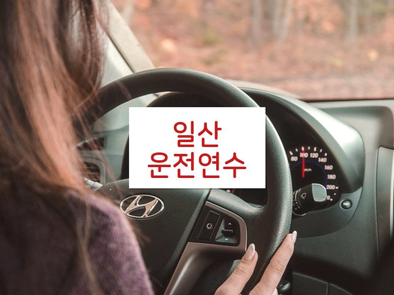 일산운전연수 후기