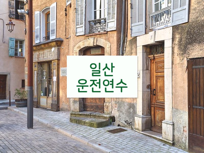 일산운전연수 후기