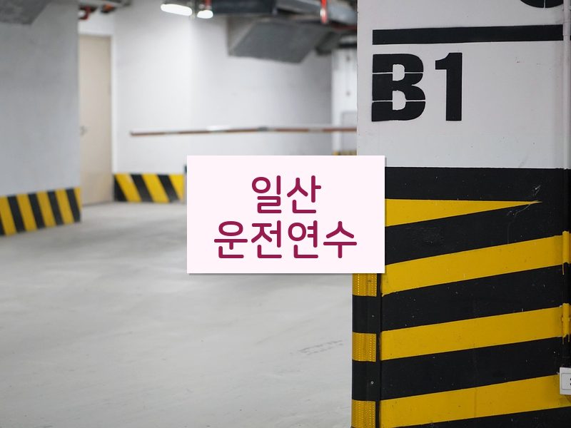 일산운전연수 후기