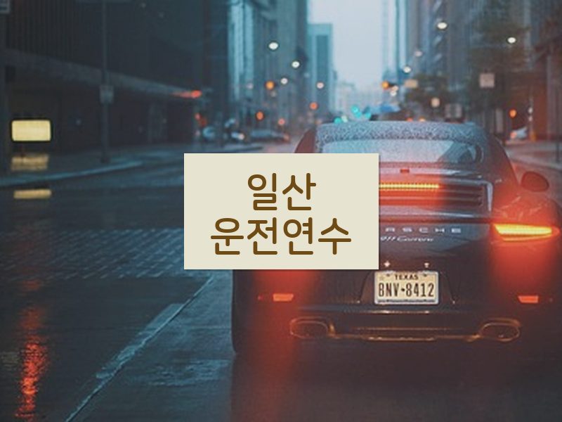 일산운전연수 후기