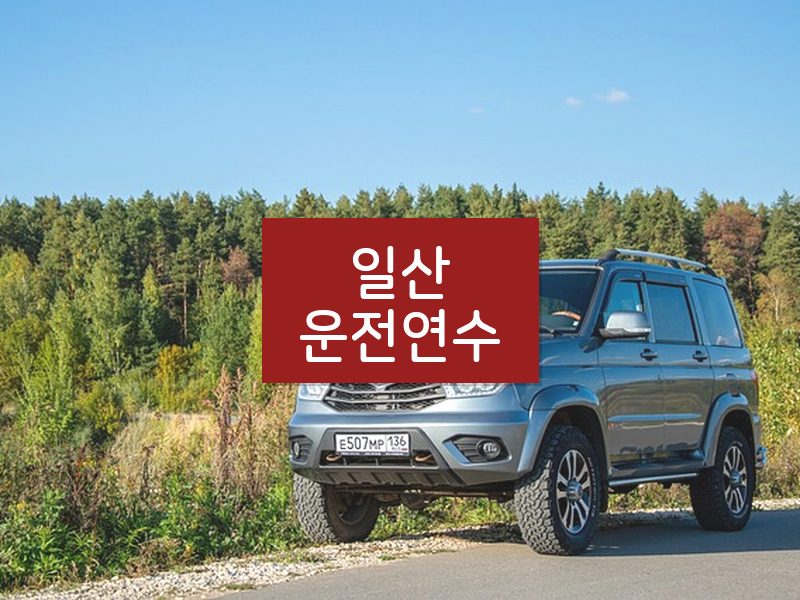 일산운전연수 후기