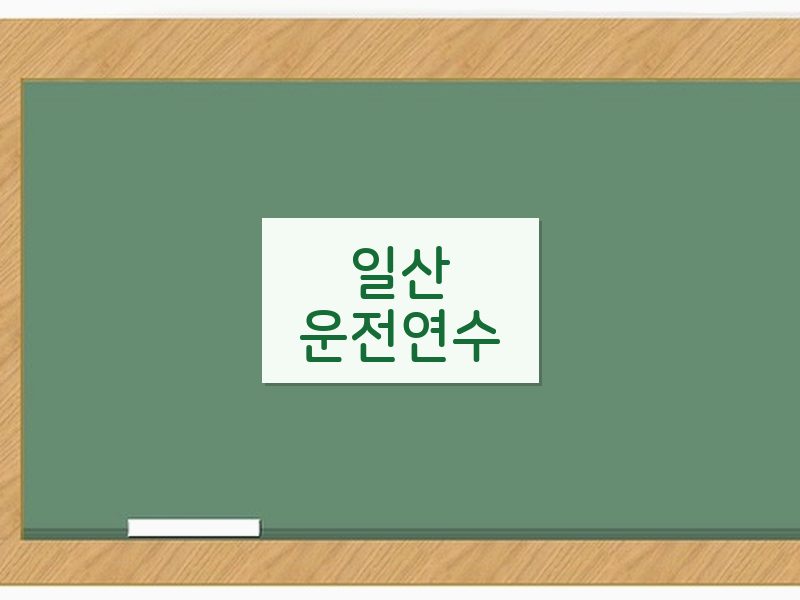 일산운전연수 후기