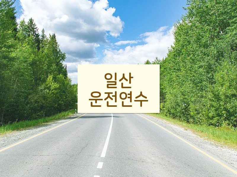 일산운전연수 후기