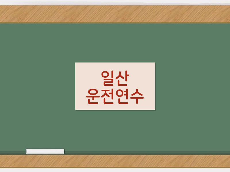 일산운전연수 후기