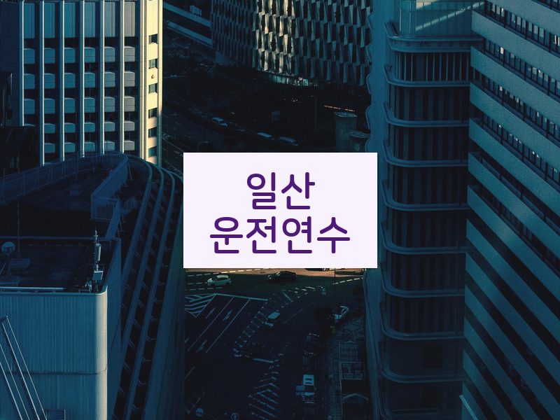 일산운전연수 후기